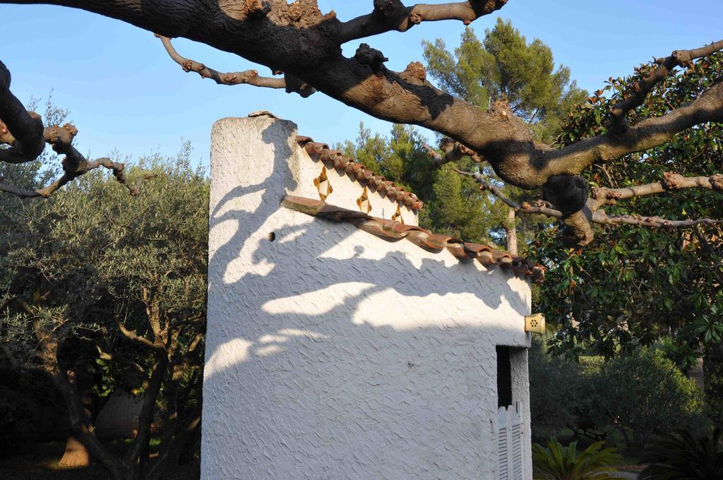 Du Cote De Chez Soi Hotell La Ciotat Exteriör bild
