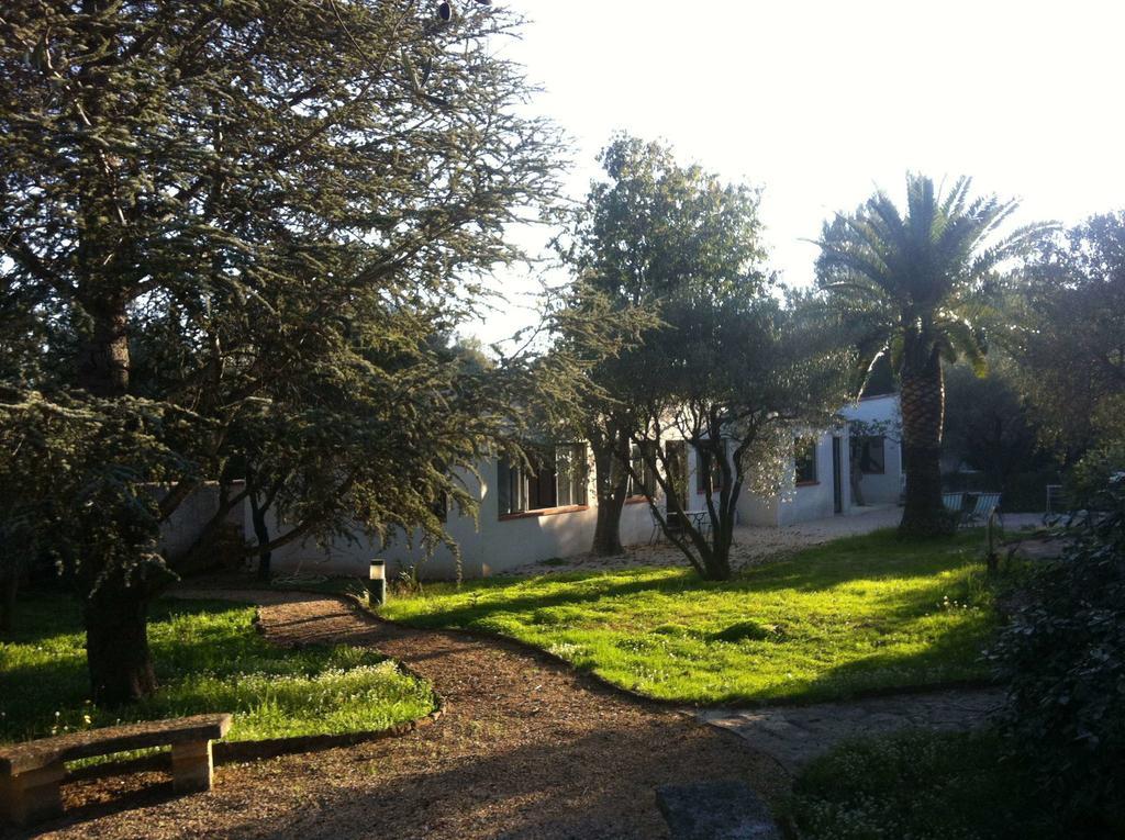 Du Cote De Chez Soi Hotell La Ciotat Rum bild